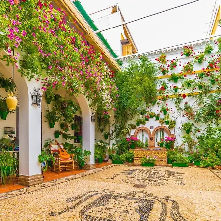 Modernos En Ciudad Jardin Kordoba